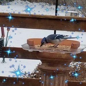 Meet your Posher, Denise